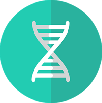 submit your manuscript